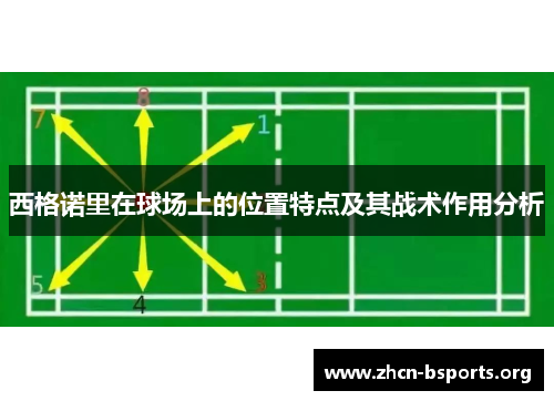 西格诺里在球场上的位置特点及其战术作用分析