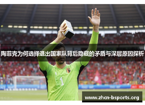 陶菲克为何选择退出国家队背后隐藏的矛盾与深层原因探析 陶菲克为何选择退出国家队背后隐藏的矛盾与深层原因探析